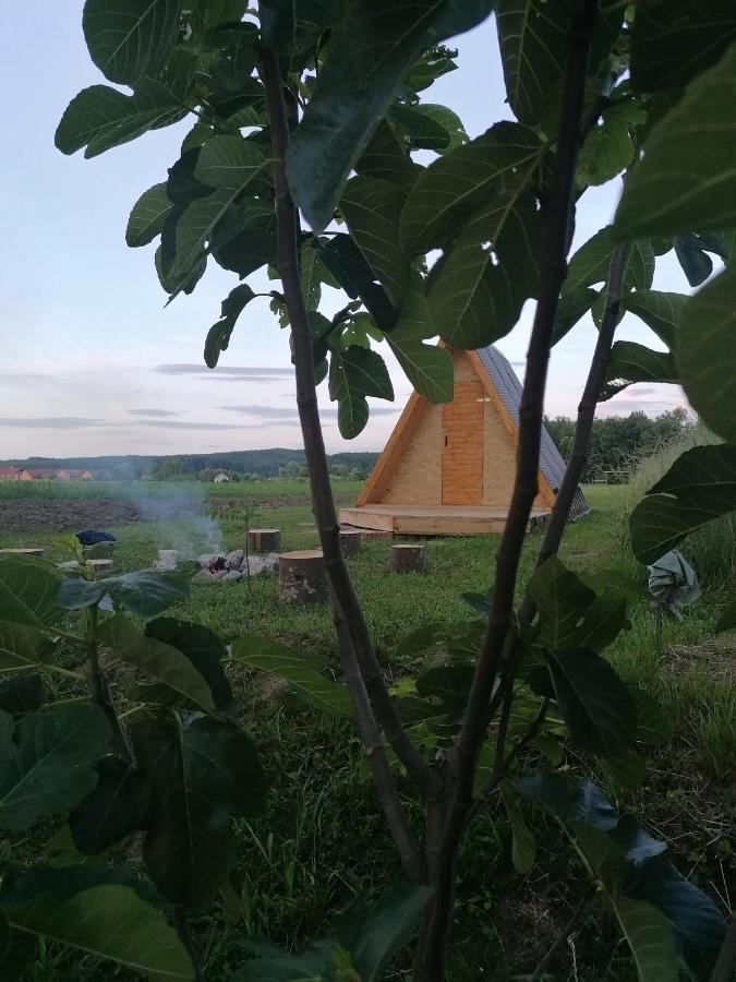 Studio Apartman Zorkovac Ozalj Exteriör bild
