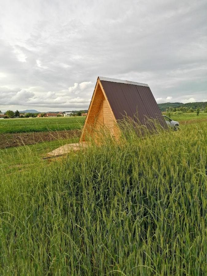 Studio Apartman Zorkovac Ozalj Exteriör bild